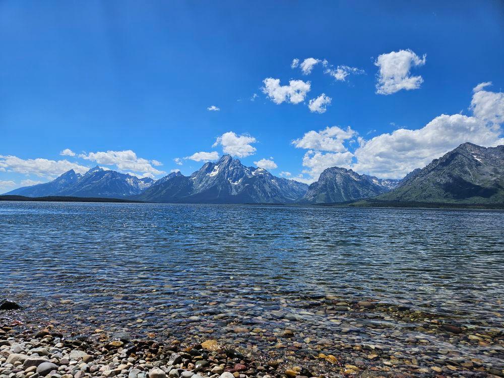 Moose Wilson Road landscape