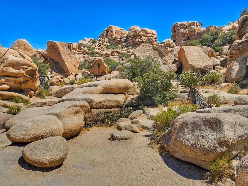 Joshua Tree National Park landscape