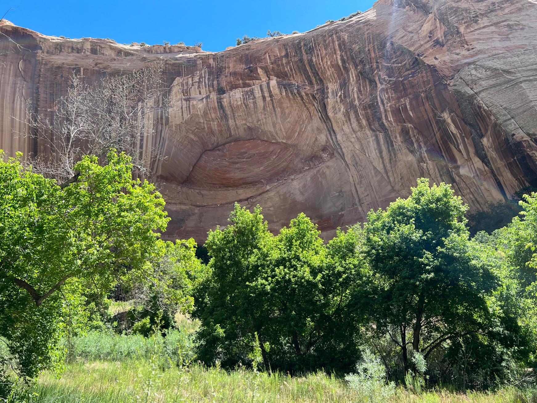 Capitol Reef National Park  landscape