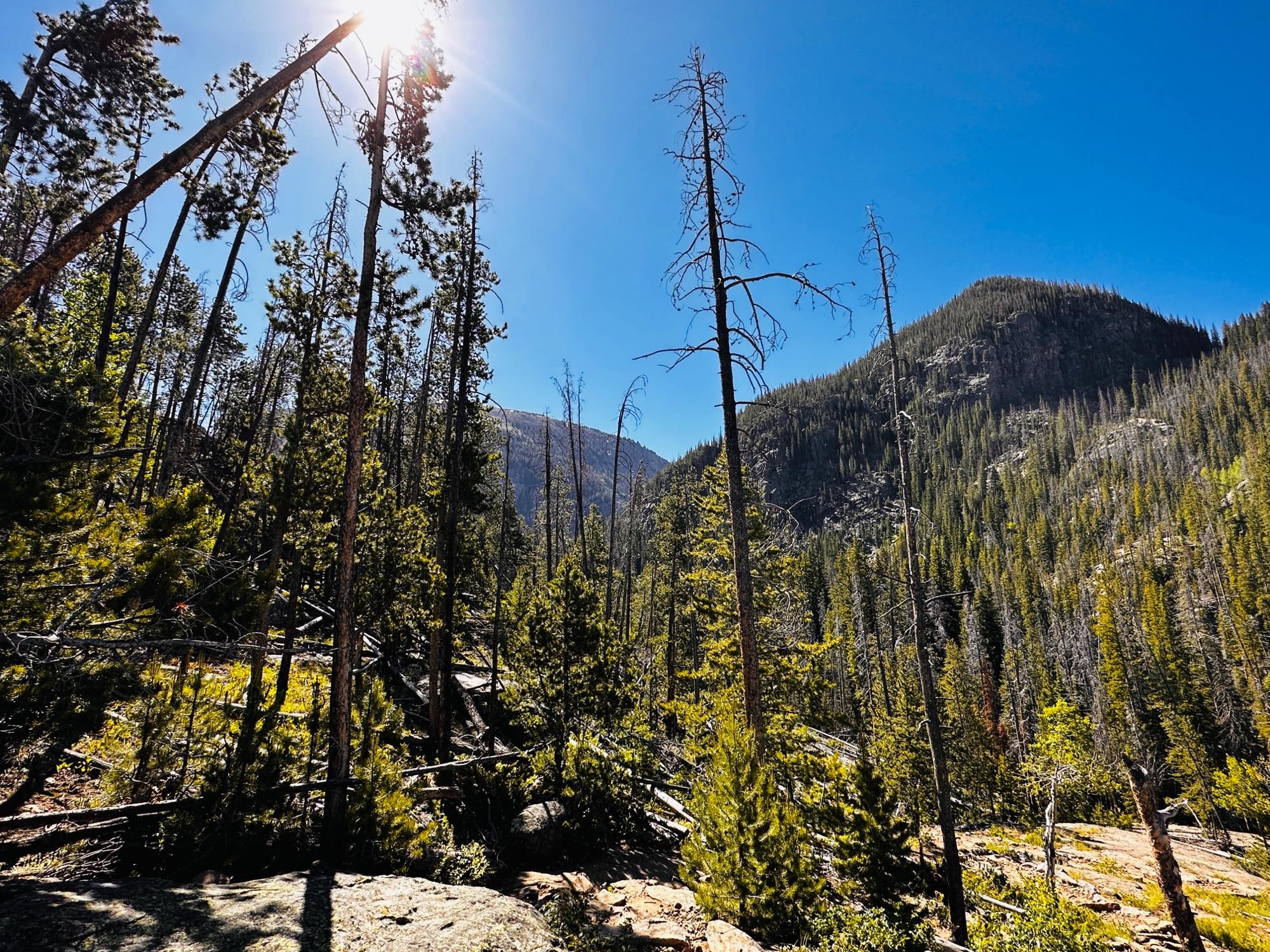 Rocky Mountain National Park landscape