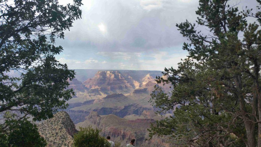 Grand Canyon Village landscape