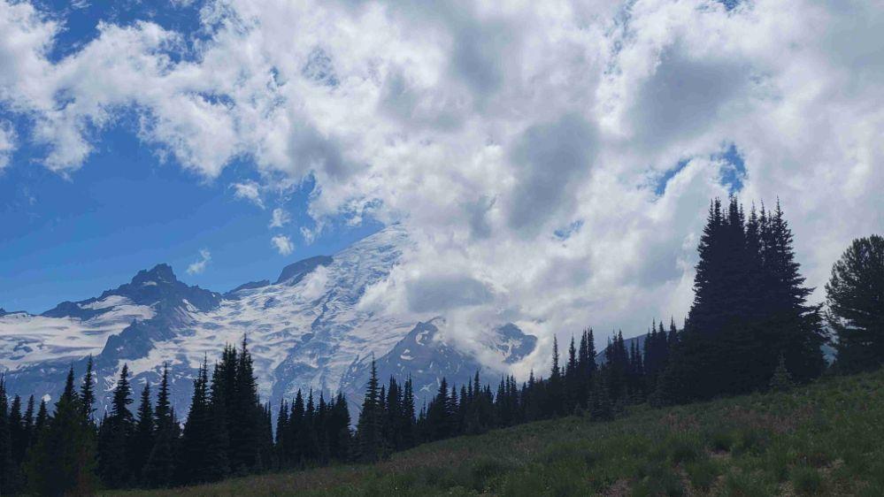 Enumclaw landscape