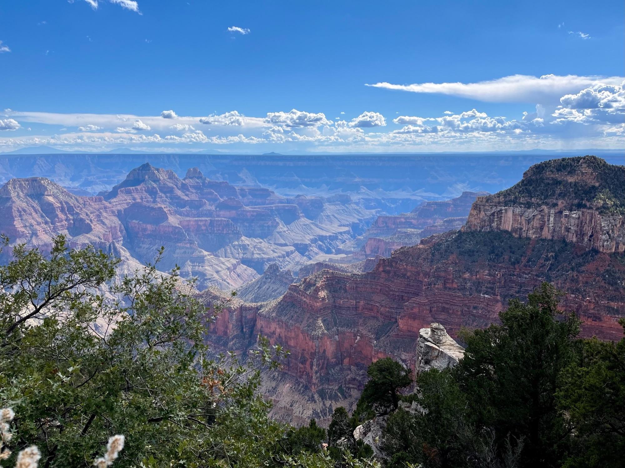 Grand Canyon National Park landscape