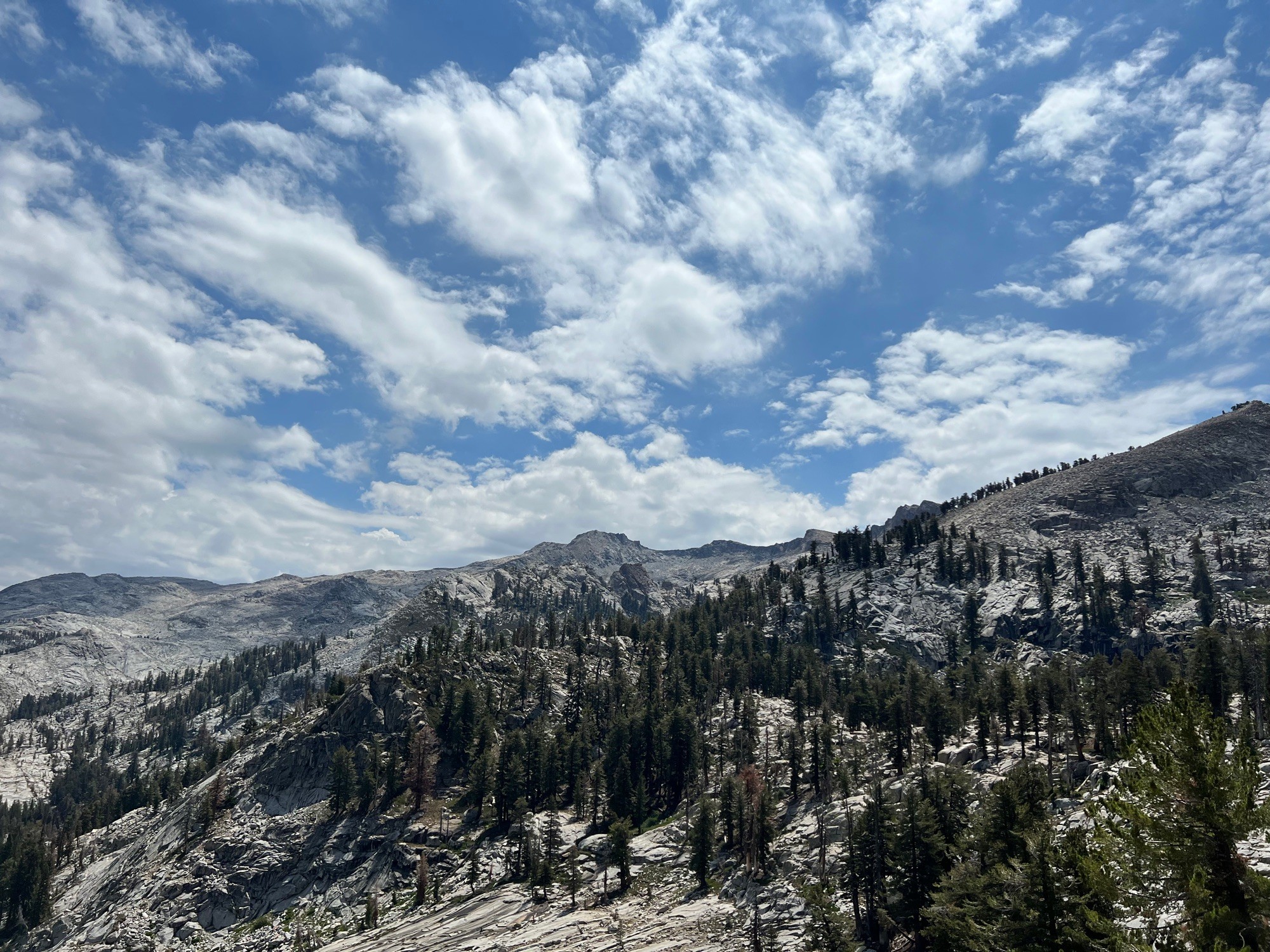 Sequoia National Park image tile