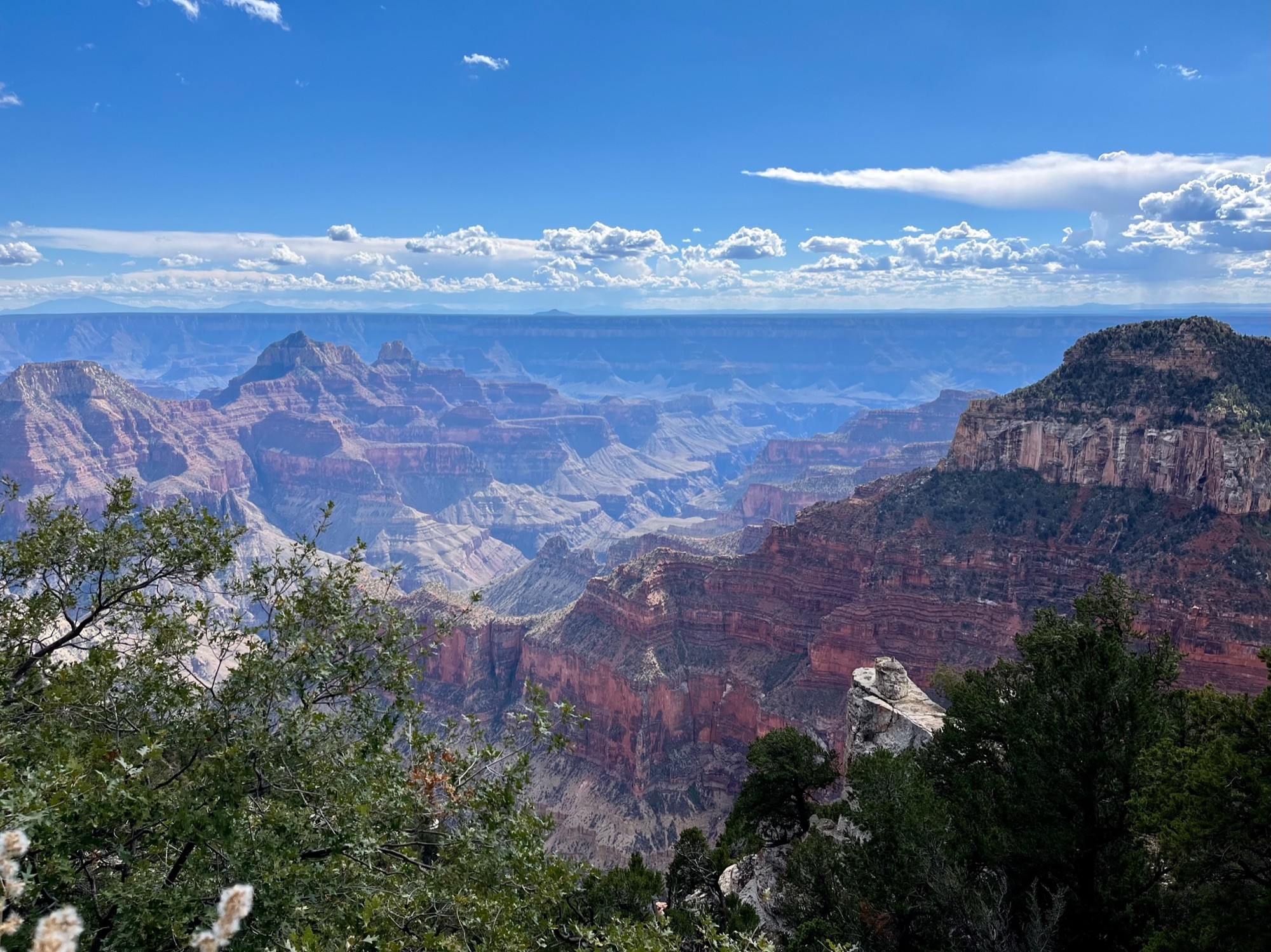 Arizona image tile